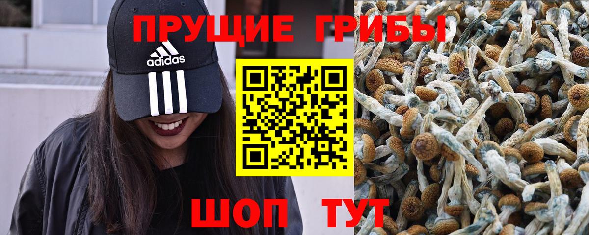Новоуральск  Галлюциногенные грибы ЛСД  Вход с VPN  Галлюциногенные грибы Psilocybe 
